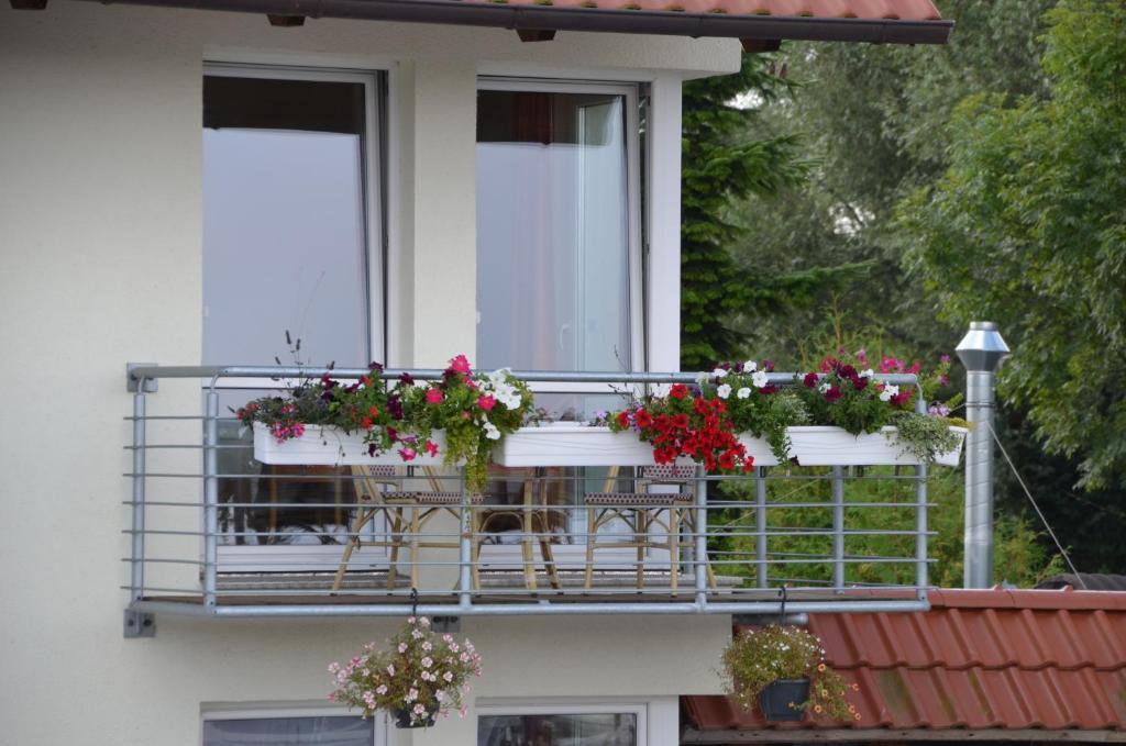 גרייפסוואלד Hotel Zur Bruecke מראה חיצוני תמונה